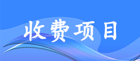 收費項目